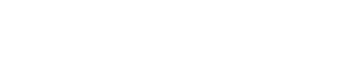 Brookline Capital Partners Logo Reversed